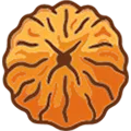 Rudraksha Bead